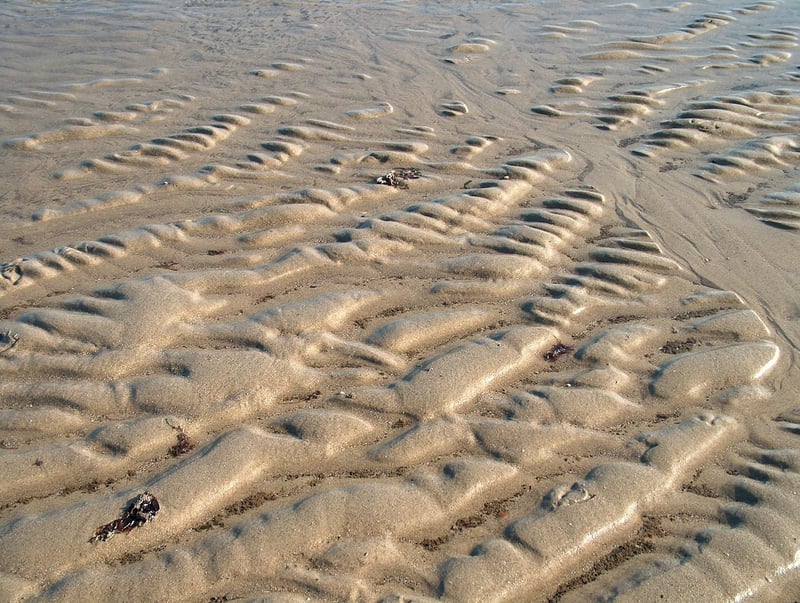 Netherlands Map Location